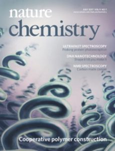 Lin Research Group - Nature Chemistry - 2017