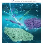 Collaborative Research to Develop Filament-Based Hydrogels is Cover for JACS