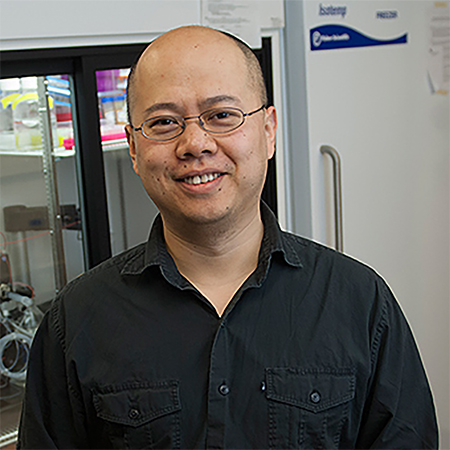 Yao Lin, Ph.D.